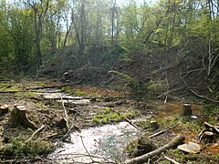 Photographie d'un étang rouge dans une forêt défrichée.