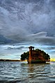 16 juillet 2014 Le SS Ayrfield d'Homebush Bay : une épave rattrapée par la nature.