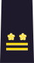 Lieutenant Colonel