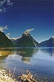 Mitre Peak, ki se dviga nad Milford Sound