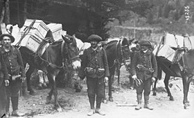 Image illustrative de l’article 63e bataillon de chasseurs alpins