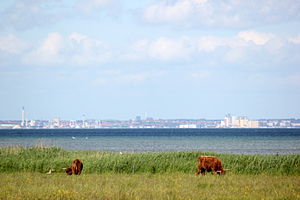 Blick über den Öresund von Dänemark nach Schweden