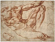 Michelangelo – Studies of a reclining male nude: Adam in the fresco The Creation of Man on the vault of the Sistine Chapel, c. 1511