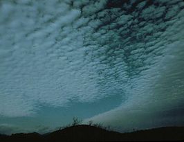 Altocumulus stratiformis