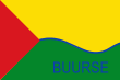 Vlag van Buurse