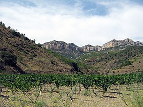 Image illustrative de l’article Priorat (DO)