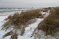 Et klitområde strækker sig langs Grenaa Strand