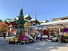 Chrysanthemum Festival (November 15, 2020)