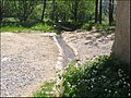 La Loire à sa sortie de la ferme de la source « géographique ».