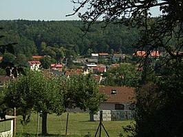 Blik op Svinařov (2009)