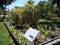 Le jardin de la mémoire, au jardin botanique.