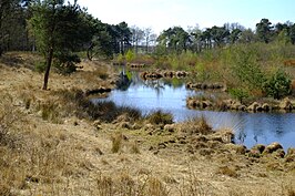 Strijbeekse Heide