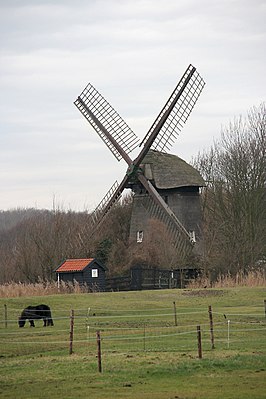 Damlandermolen (2008)