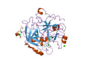 2jh6: HUMAN THROMBIN HIRUGEN INHIBITOR COMPLEX.