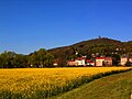 Thumbnail for Mont Saint-Quentin in Moselle Valley