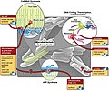 Thumbnail for Management of tuberculosis