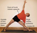 Working in Trikonasana (infographic)