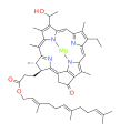 Bactériochlorophylle c