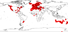 Occurrence data from GBIF[1]