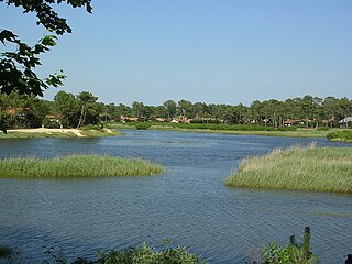 Courant de Mimizan, pré salé du dernier méandre