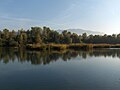 Vignette pour Réserve naturelle nationale du Delta de la Dranse