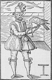 Le dessin représente un homme barbu et moustachu en habits du seizième siècle avec souliers, bas, culotte bouffante, gilet à manches longues, chapeau à plumes, tenant dans ses mains une tige qui supporte un rapace qui baisse son bec.