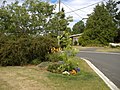 A garden created by me and my neighbours in the center of our cul-de-sac, 7/7/2007.