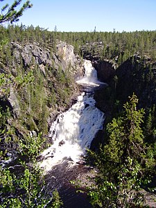 Parque Nacional Muddus, o maior parque florestala da Suécia