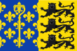 Vlag van Overasselt