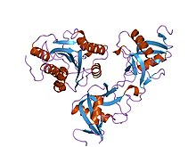 PDB 1uex EBI.jpg