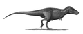 Tyrannosaurus svrchno-křídový teropod