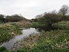 Sheringham Common