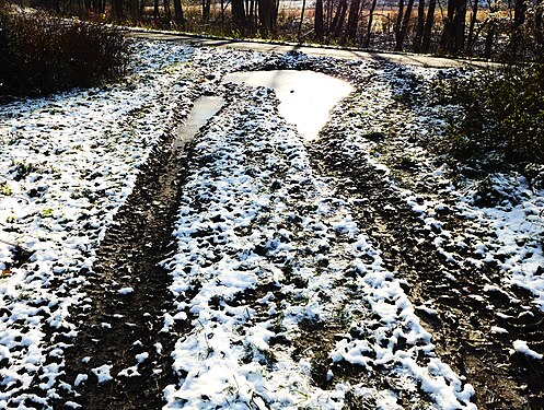 Dirt road in winter