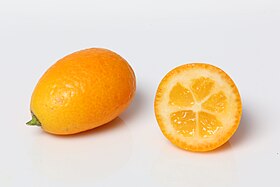 Image illustrative de l’article Kumquat de Rongan