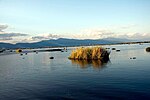 Lake with some floating plants