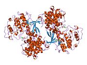 1jst: PHOSPHORYLATED CYCLIN-DEPENDENT KINASE-2 BOUND TO CYCLIN A