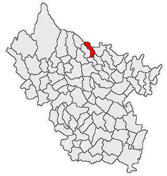 Location in Buzău County