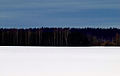 Le paysage hivernal reproduit les couleurs du drapeau de l'Estonie.