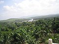 Kumta scenery with a view of Aghnashini river