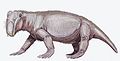 Lystrosaurus georgi