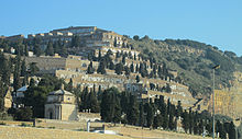 Montijuïc Cemetery.jpg