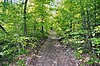 Hill Road at the Cumberland Plateau