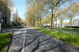 De Van Nijenrodeweg bij de Van Heenvlietlaan