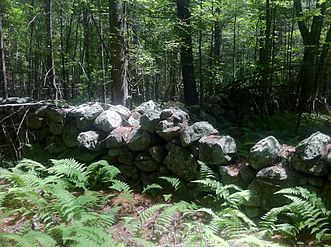 Stone fence near Nehantic Trail & Nehantic-Pachaug Crossover Trail intersection.