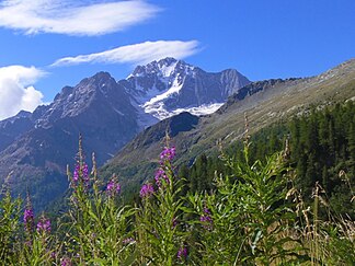 Monte Disgrazia von Norden (Val Sissone)