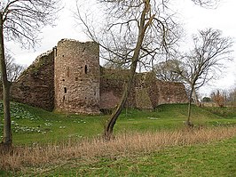 De ruïne van Wilton Castle.