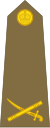 Brigadier