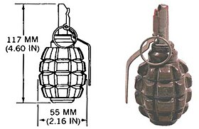 Image illustrative de l'article Grenade F1 (Russie)