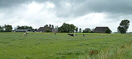 De twee oostelijkste boerderijen