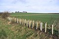 11. Nouvelle haie prolongeant une existante (double rangée plantée en quinconce).